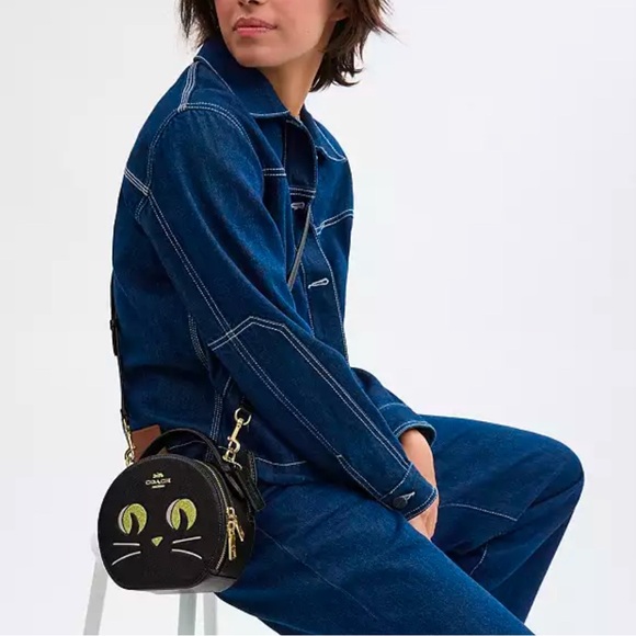 COACH NEW with tags  Canteen Crossbody Bag With Halloween Cat - Picture 2 of 9